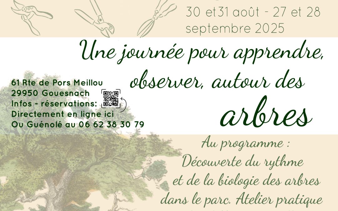 Atelier autour des Arbres